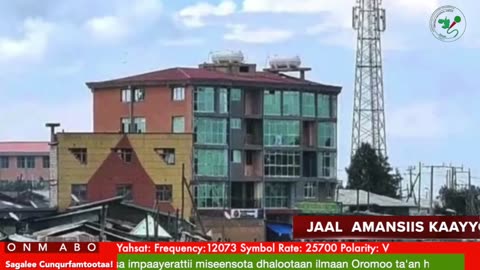 Oduu 𝙶𝚊𝚗𝚊𝚖𝚊 ONM-ABO Fulbaana 2-2025 itti dhiyaadhaa!
