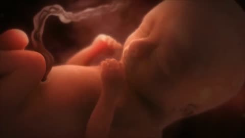 Alien Hybrids & the Secret Programs Behind Them | Ancient Aliens