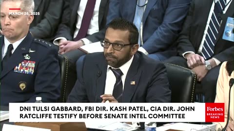 Tom Cotton Savages Anti-Israel Protesters Disrupting Hearing