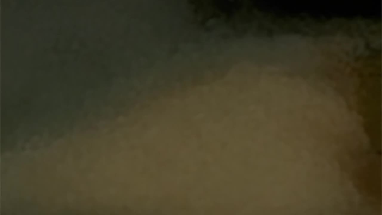 WAV - What Exhaust