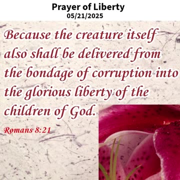 Prayer of Liberty #youtubeshorts #grace #jesus #mercy #faith #fyp #trust #blessed #fear #joy #love