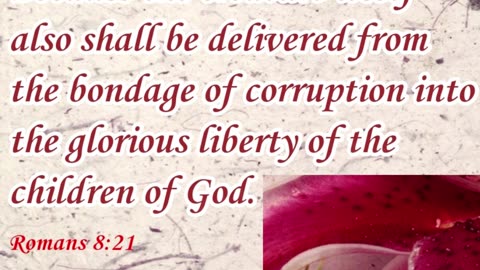 Prayer of Liberty #youtubeshorts #grace #jesus #mercy #faith #fyp #trust #blessed #fear #joy #love