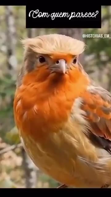 Some say this bird resembles a certain world leader.