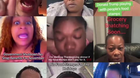 THE EBT BRADY BUNCH