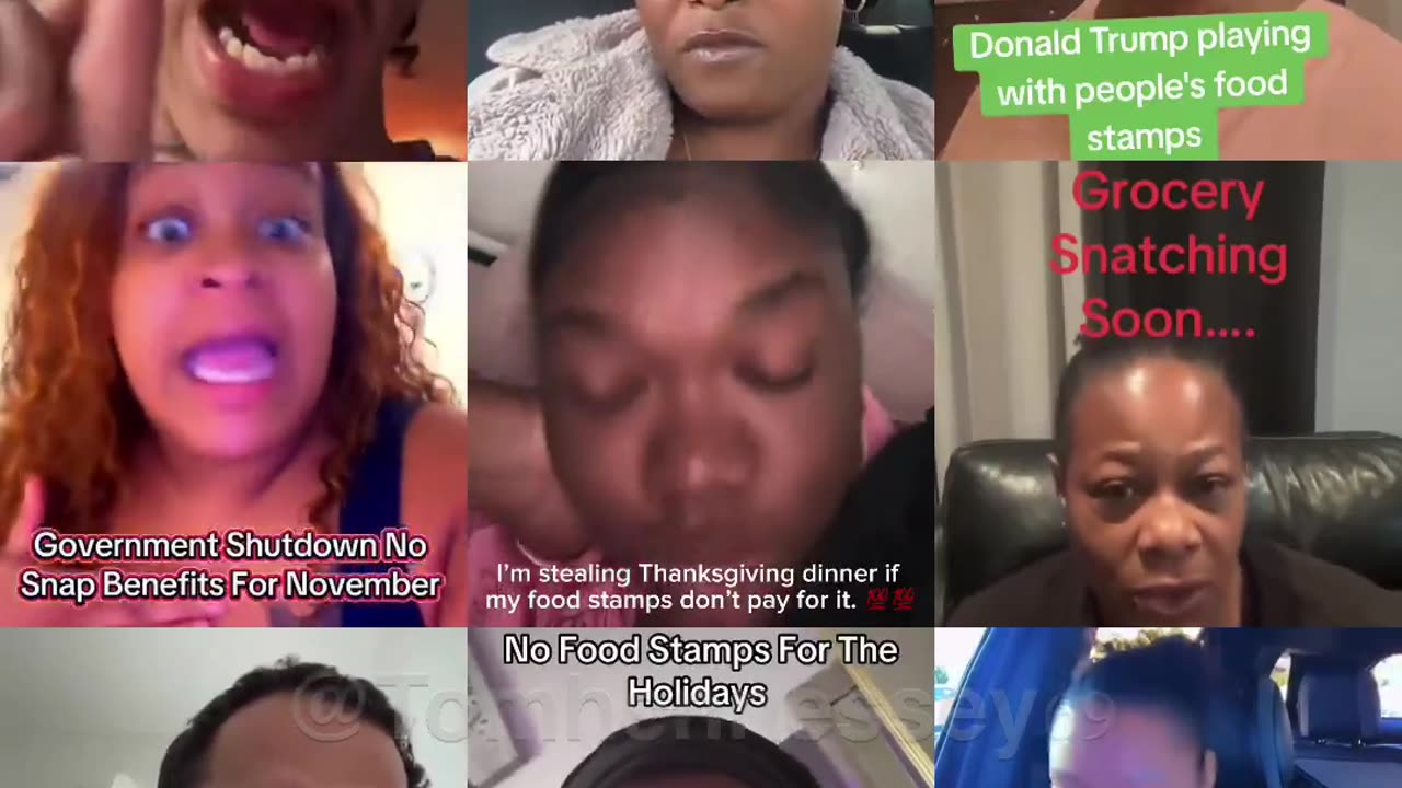 THE EBT BRADY BUNCH