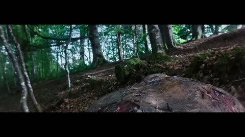 28 YEARS LATER - New Trailer