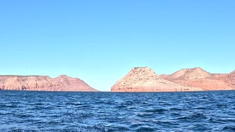 Snorkeling in La Paz Mexico