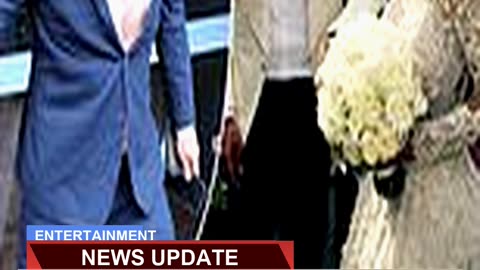Salim Mehajers Ex Pulls Off a Masterclass in Reve