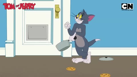 Tom & Jerry 😺🐭| Just Cat & Mouse Things | #tomandjerry | Funny Cartoons