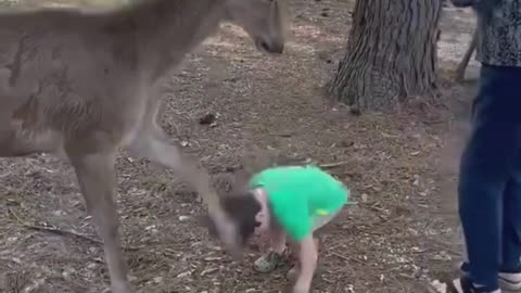 You Laugh 😂 You Restart #viral #shorts #funny #fails #gigglegrotto