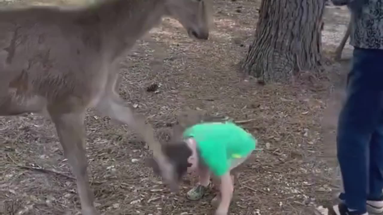 You Laugh 😂 You Restart #viral #shorts #funny #fails #gigglegrotto