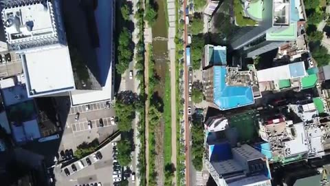 They Tore Down a Highway and Made it a River (and traffic got better)