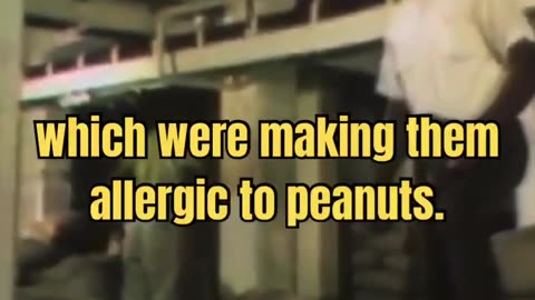 Peanuts—copper, zinc, and superfood