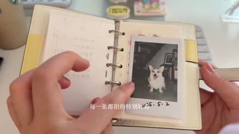 VLOG｜Pizza Nights & Lemon Days | After-Work Life With Wangzi🍕🐾