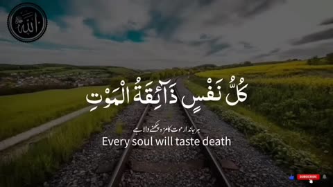 Kullo_nafsin_zaikatul_maut___Beautiful_Quran_Recitation___by_Abdul_Rahman_Mossad(720p) 