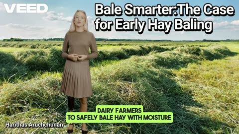 Bale Smarter, Not Later: The Case for Early Hay Baling