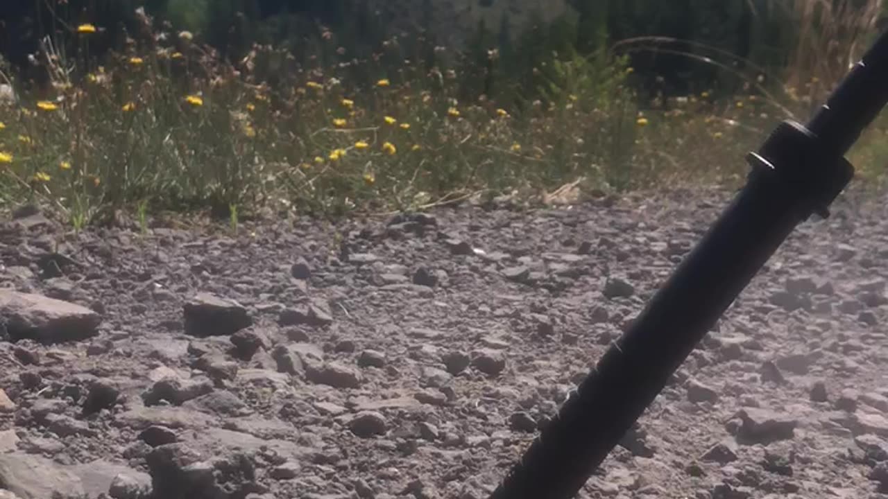Little ping at 1050 yards.