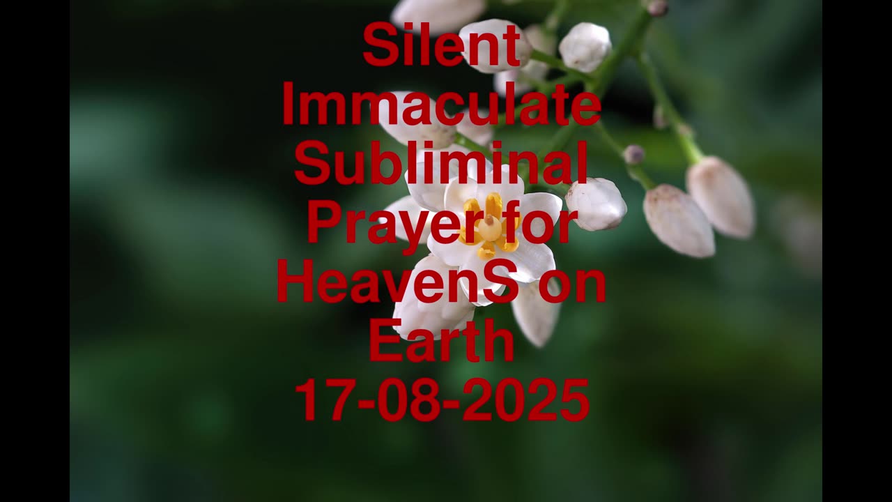 Silent Immaculate Subliminal Prayer for HeavenS on Earth 17-08-2025