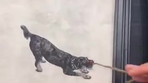 Awesome creativity level