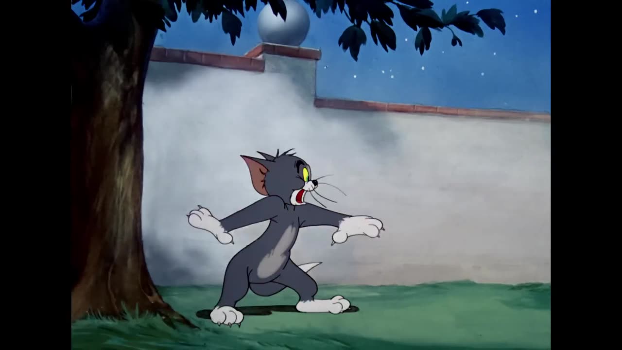 Tom & Jerry Video Compilation