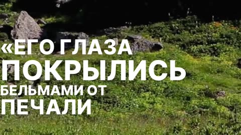 Печаль Якуба из Корана - урок терпения и любви