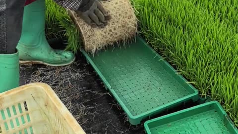 smart farmer