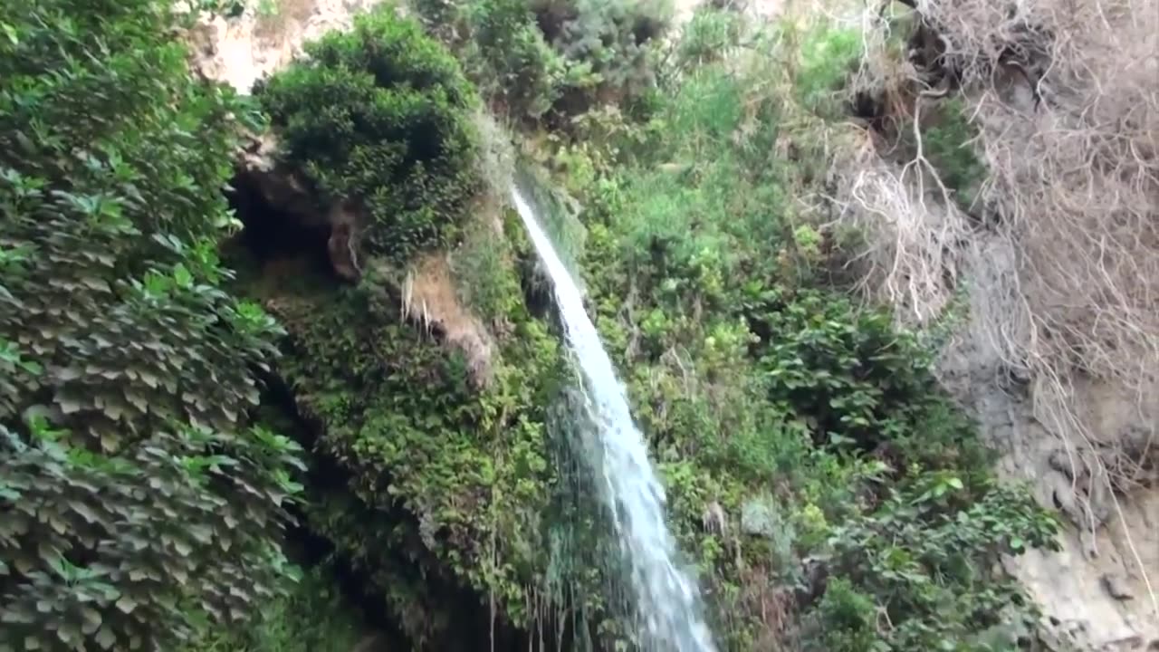 En Gedi David's refuge from King Saul in Israel [The Bride of Christ]