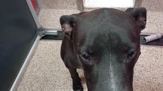 VID_20250827_164917411