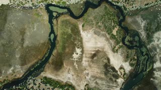 Excado Yolo Relax & Study Mix