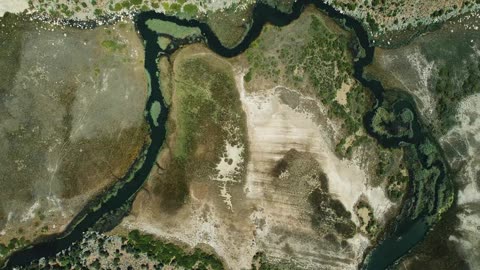 Excado Yolo Relax & Study Mix