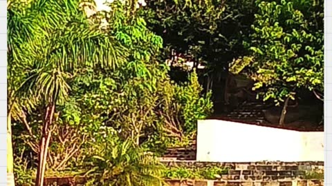 A Place So Peaceful, Even the Peacocks Love It | Utsav Club & Resort | Best Resort in Bangalore