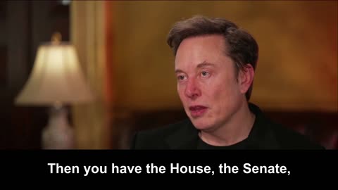 Elon Musk: Democrats Are Trying to Create a Permanent One-Party Socialist State