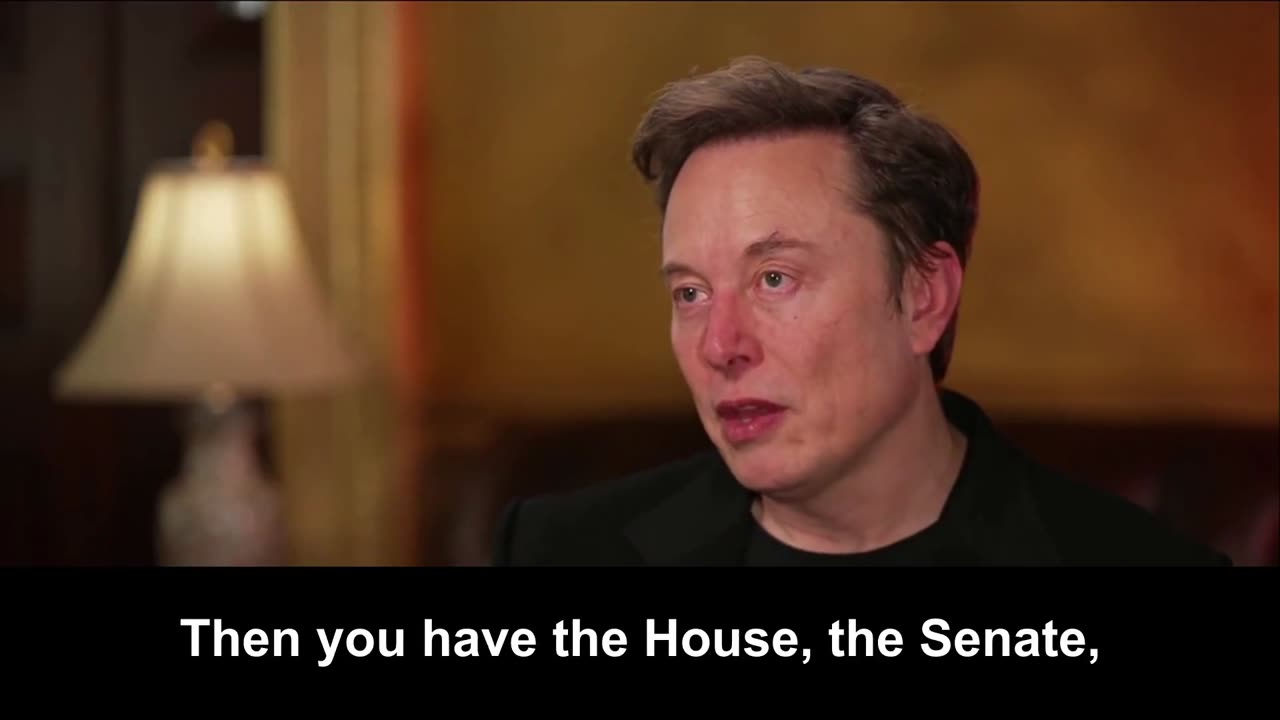 Elon Musk: Democrats Are Trying to Create a Permanent One-Party Socialist State