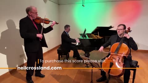 Vivaldi - Seasons - Spring for Trio - Mark Wilson/Violin - Pedro Gomes/Cello - Neil Crossland/Piano