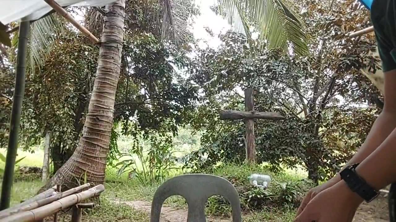 Sunday, 29th June 2025, Sunday School