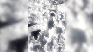 Video shows aftermath of deadly avalanche on a Himalayan peak