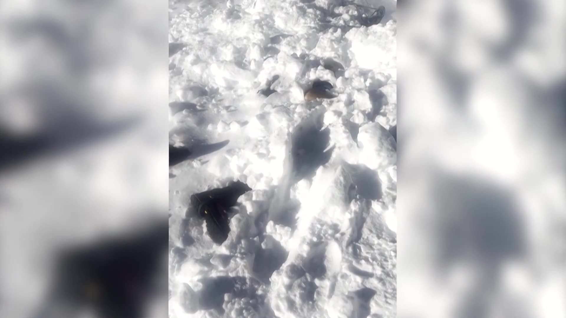 Video shows aftermath of deadly avalanche on a Himalayan peak