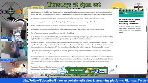 Psychedelic Reporters Ep.159 May 27th 2025
