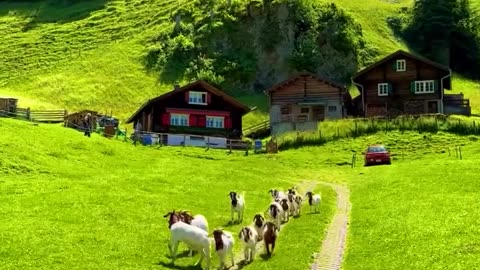 Relaxing Nature Sounds – Beautiful Waterfall and Peaceful Wilderness