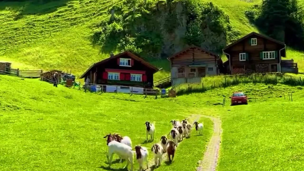 Relaxing Nature Sounds – Beautiful Waterfall and Peaceful Wilderness