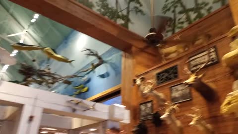 A Tour Of #BASS PRO SHOP