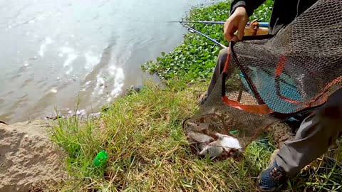 Zander Fly Fishing in River Deep Channels