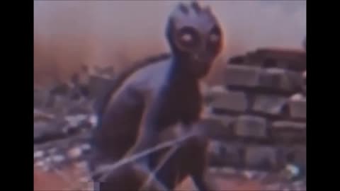 Allegedly video of Varginha 1996 creature