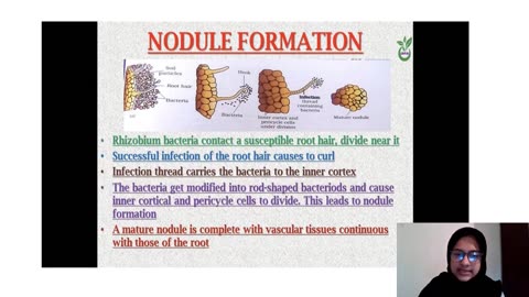 Plus Two Biology Chapter 10 Part 2