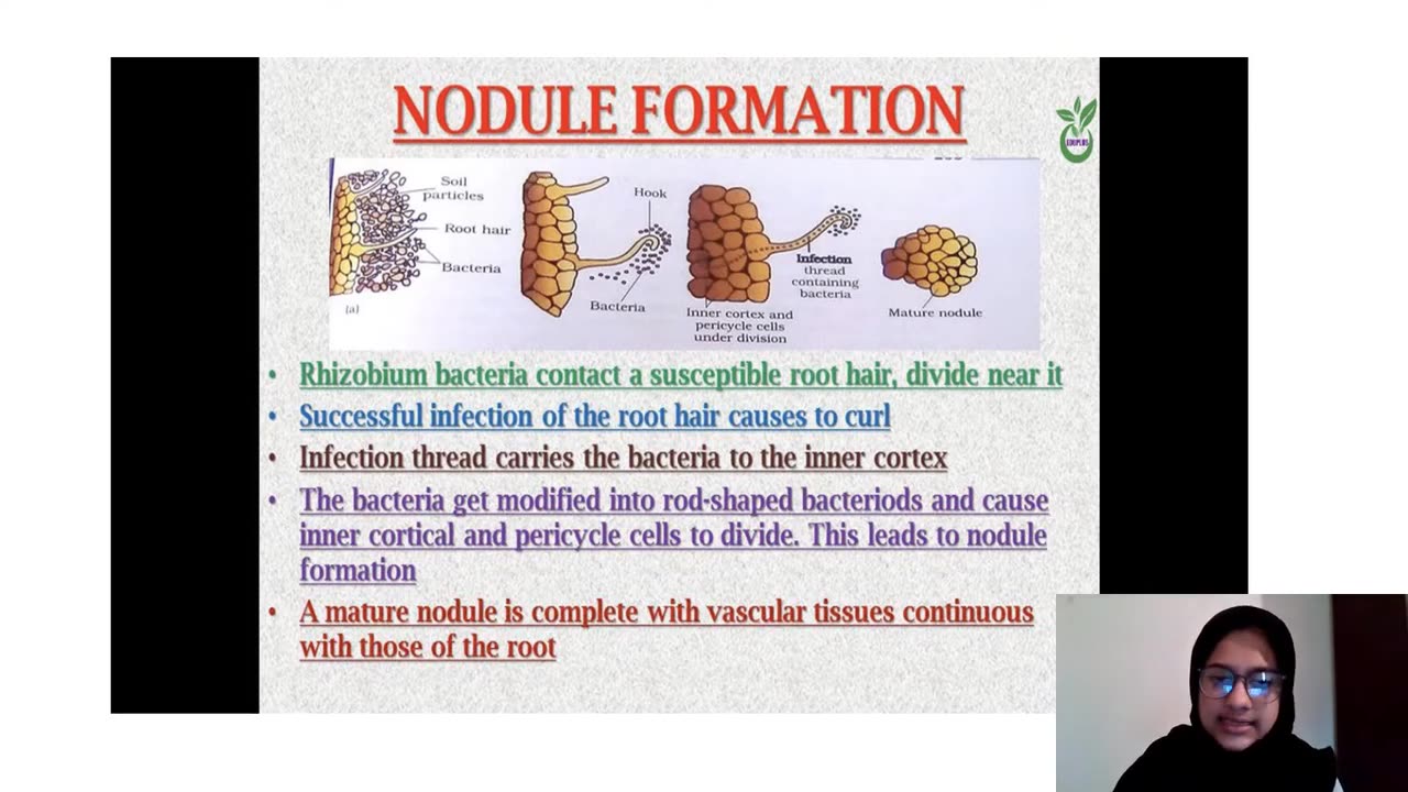 Plus Two Biology Chapter 10 Part 2