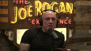 Nonprofits: Where Did Funds Go? - Rep Anna Paulina Luna and Joe Rogan #funding #money #nonprofits