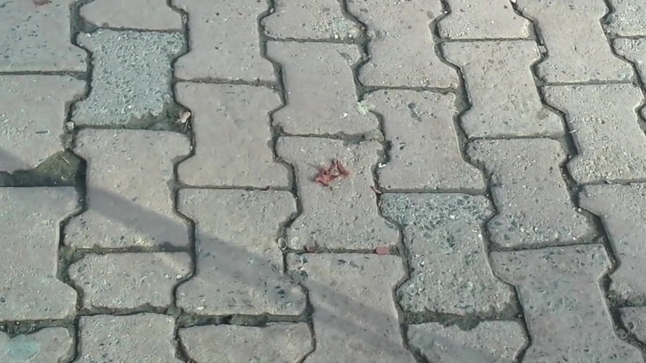 Army Giantess Sexy - Candid