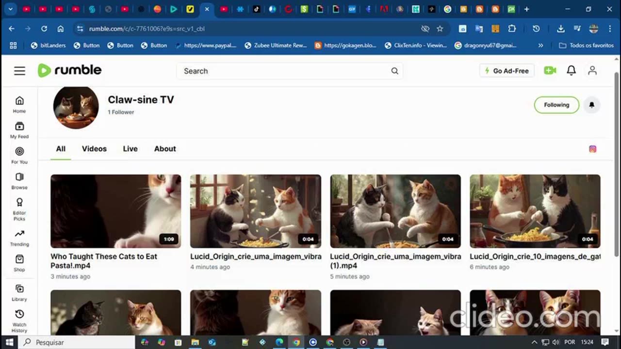 gatos cozinheiro completo.mp4