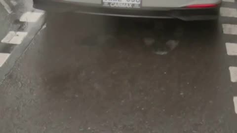Dashcam Block bike lane cyclist Richmond St W Toronto Canada