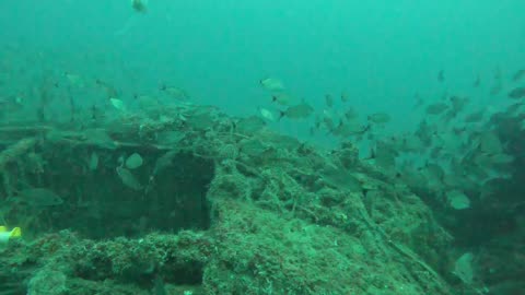 5.6.25 Scuba Dive St Augustine FL - Intruder Reef